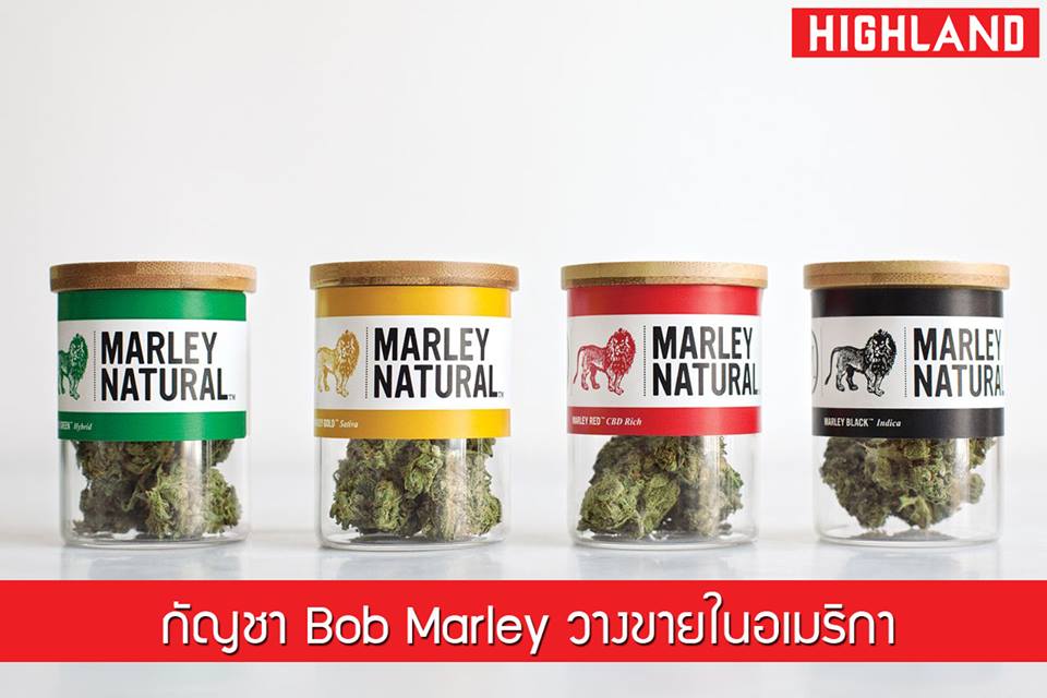 ยลโฉมอีกครั้ง “สมุนไพรกัญชา” ของ Bob Marley ความหวังลมๆ แล้งๆ ของคนไทย ?