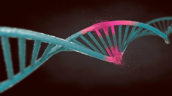 "ทรัพย์สินทางปัญญาสิงคโปร์" อนุมัติ "สิทธิบัตร" เทคโนโลยี "CRISPR" ของเมอร์ค