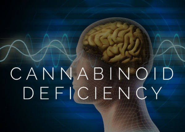 "กัญชาทางการแพทย์" วิจัยชี้ "Cannabinoid Deficiency" ช่วยผู้สูงอายุ