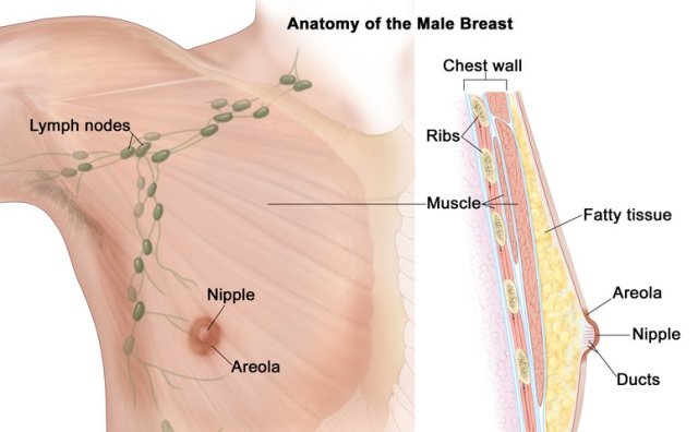 ทราบกันหรือไม่ ! มะเร็งเต้านมในผู้ชาย ก็เป็นได้ แถมอันตรายกว่าผู้หญิง แพทย์แนะ ควรคลำก้อนเนื้อแข็ง หากบีบแล้วไม่เจ็บ มีของเหลวไหลออกจากหัวนม ควรพบแพทย์