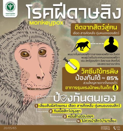 ข่าวโรคฝีดาษลิง, ข่าวโรคฝีดาษลิงล่าสุด, ข่าวโรคฝีดาษลิงในไทย